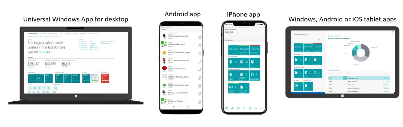 rental software from microsoft